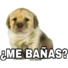 ¿ME BAÑAS?
ΜΕ