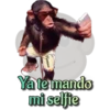 my monkey 27