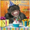 my monkey 28