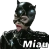 @oyesss batman
Miau