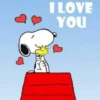 snoopy 20