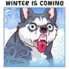 Meme Dogs 1 27