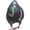 Dove with hands 19