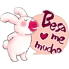 Rabbit 29