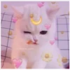 Cats with hearts 29