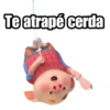 Te atrapé cerda
graffadiaz