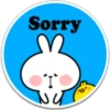 SPOLIED RABBIT PHRASES 6