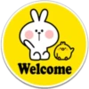 SPOLIED RABBIT PHRASES 7