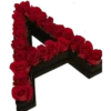 FLOWERS 7
