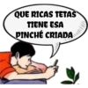 pinché criada 5