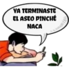 pinché criada 7