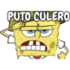 PUTO CULERO