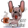 0
EXYY
BUENOS DÍAS