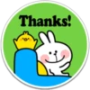 SPOLIED RABBIT PHRASES 11
