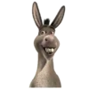 Meme 6 12