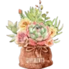 FLOWERS 14