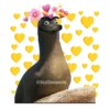 @SoyChooqomilq