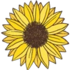FLOWERS 16