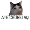 ATE CHOREI AQ