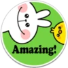 SPOLIED RABBIT PHRASES 16