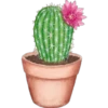 FLOWERS 20