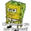 Bob Esponja 16