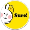 SPOLIED RABBIT PHRASES 17