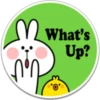 SPOLIED RABBIT PHRASES 19