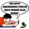 pinché criada 14