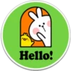 SPOLIED RABBIT PHRASES 21
