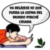 pinché criada 16