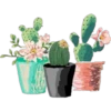 FLOWERS 23
