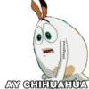 AY CHIHUAHUA
@thxgerard