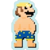 SuperMario Pixel 21