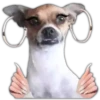 Memes 25 18
