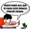 pinché criada 18