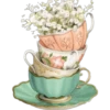 FLOWERS 25