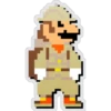 FI