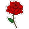 FLOWERS 26