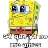 Bob Esponja 25