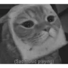 (Sad Music playing)
