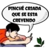 pinché criada 23
