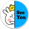 SPOLIED RABBIT PHRASES 24