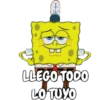 LLEGO TODO
LOTUYO