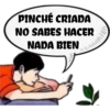 pinché criada 26