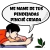 pinché criada 27