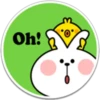 SPOLIED RABBIT PHRASES 25