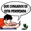 pinché criada 28