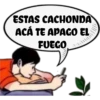 pinché criada 29
