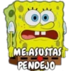 ME ASUSTAS
PENDEJO